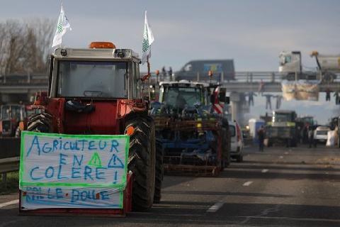 농민 분노 파고드는 독일·프랑스 극우 정당..."EU '농업 파괴' 막겠다"