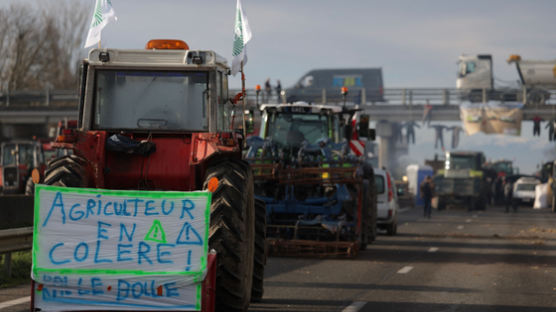 농민 분노 파고드는 독일·프랑스 극우 정당..."EU '농업 파괴' 막겠다"