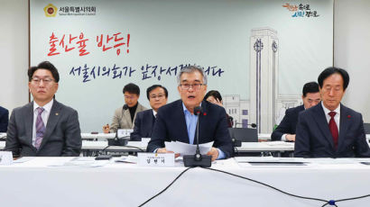 서울서 애 낳으면 부자도 공공임대주택 입주...서울시의회도 저출산 대책 나선다