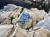 대왕암공원 바위에 스프레이로 쓰인 ‘바다남’ 낙서. 사진 울산 동구