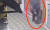 지난 19일 새벽 서울 종로구의 한 골목에서 같은 학교 여학생을 성폭행한 뒤 홀로 집으로 돌아가는 20대 남성의 모습이 담긴 CCTV 장면. 채널A 캡처
