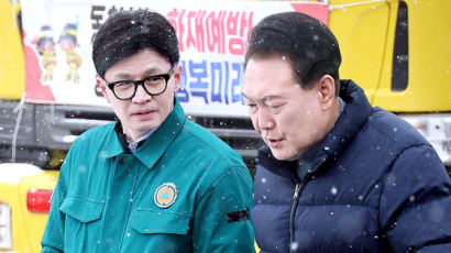 尹멘토 신평 "尹지지자, 한동훈으로 옮겨가…궁정 쿠데타 진행 중"