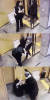 배현진 국민의힘 의원(서울 송파을)이 25일 오후 서울 강남구 신사동의 한 건물에서 15세 중학생에게 습격당하는 장면이 담긴 CCTV 화면을 배 의원실이 공개했다. 사진 배현진 의원실