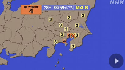 일본 도쿄서 규모 4.8 지진…"쓰나미 우려 없어"