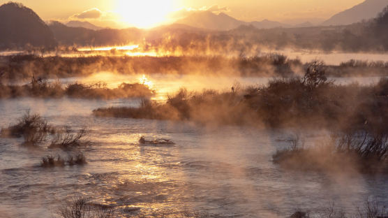겨울 강이 펄펄 끓어오른다…양촌리 일출, 불타는 ‘물안개’