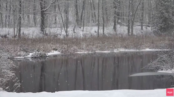 얼음 연못에 빠진 父子…4살 아들 구하고 아빠는 숨졌다
