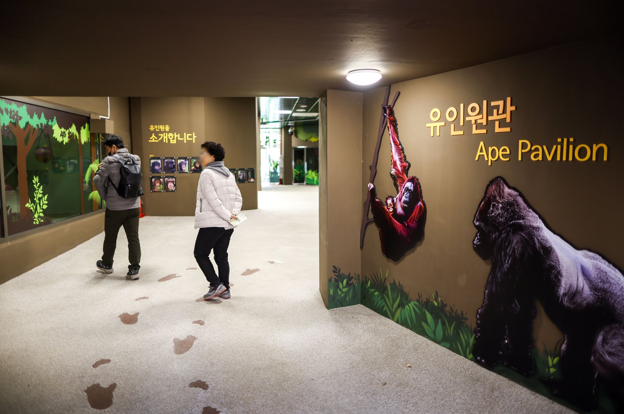 29일 경기 과천시 서울대공원 유인원관을 찾은 시민들이 동물을 살펴보고 있다. 뉴시스