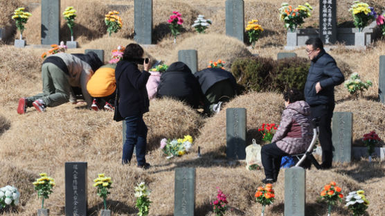 [사진] 설연휴 앞두고 미리 성묘