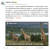 지난 2일 주중국 미국대사관이 공식 SNS인 웨이보에 멸종위기의 기린을 보호하는 활동을 소개하는 글을 싣자 중국의 개인 주식투자자들이 댓글란에 중국 경제 부진을 호소하며 도움을 호소하고 있다. 웨이보 캡처