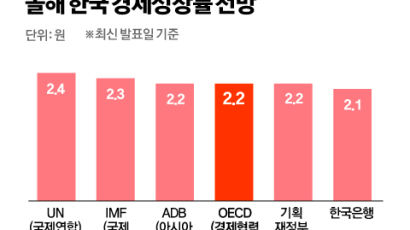 올해 성장률 2.2%…OECD, 세계 전망 높이면서 한국 낮췄다