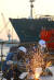 HD현대중공업에서 근로자들이 선박 건조 작업을 하고 있다. [사진 현대중공업] 중앙포토