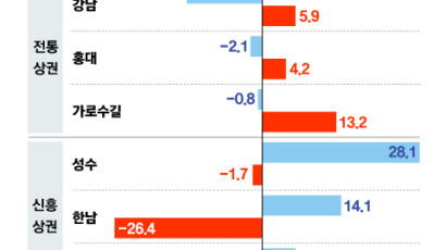 서울 상권 지각변동…“성수·한남 뜨고 가로수길·홍대 시들”