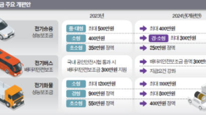 배터리 성능 따라 보조금 차등…중국산 쓰는 모델Y 깎인다