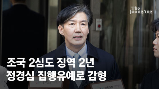 조국 2심도 징역 2년 선고…재판부 "진지한 반성 안 보인다"