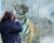 경북 봉화군 국립백두대간수목원에서 관람객이 눈앞에 가까이 다가온 호랑이 사진을 찍고 있다. [사진 사진작가 전유정]