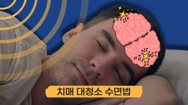 기억력 평균 3배 늘려준다…치매 막는 ‘뇌 청소’ 수면법
