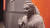 인도의 국립 델리박물관에 있는 불상. 그리스 조각의 영향을 받은 간다라 미술이다. 백성호 기자