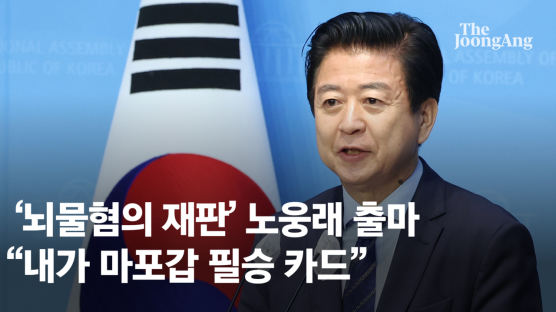 '뇌물혐의 재판' 노웅래도 5선 도전…"내가 마포갑 필승 카드"