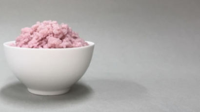 밥인가 쇠고기인가…핑크빛 쌀의 정체