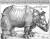 독일 화가이자 판화가 알프레드 뒤러(1471~1528년)의 코뿔소 목판화. 뒤러는 코뿔소를 한 번도 본 적이 없었지만 설명을 읽고 목판화를 만들었다. 워싱턴 D.C 국립미술관 로젠왈 컬렉션. [사진 어크로스]