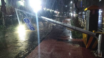 가로등 휘고 내천에 車 갇혔다…제주 '336㎜ 겨울비' 쇼크