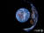 민간 달 탐사선, 지구와 함께 찍은 셀카