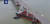 22일 컨테이너선과 충돌해 끊어진 중국 광저우시 리신사대교. 중국중앙TV(CCTV) 캡처=연합뉴스