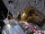 지난 21일(현지시간) 달에 접근하고 있는 민간 달 착륙선 오디세우스. AP=연합뉴스