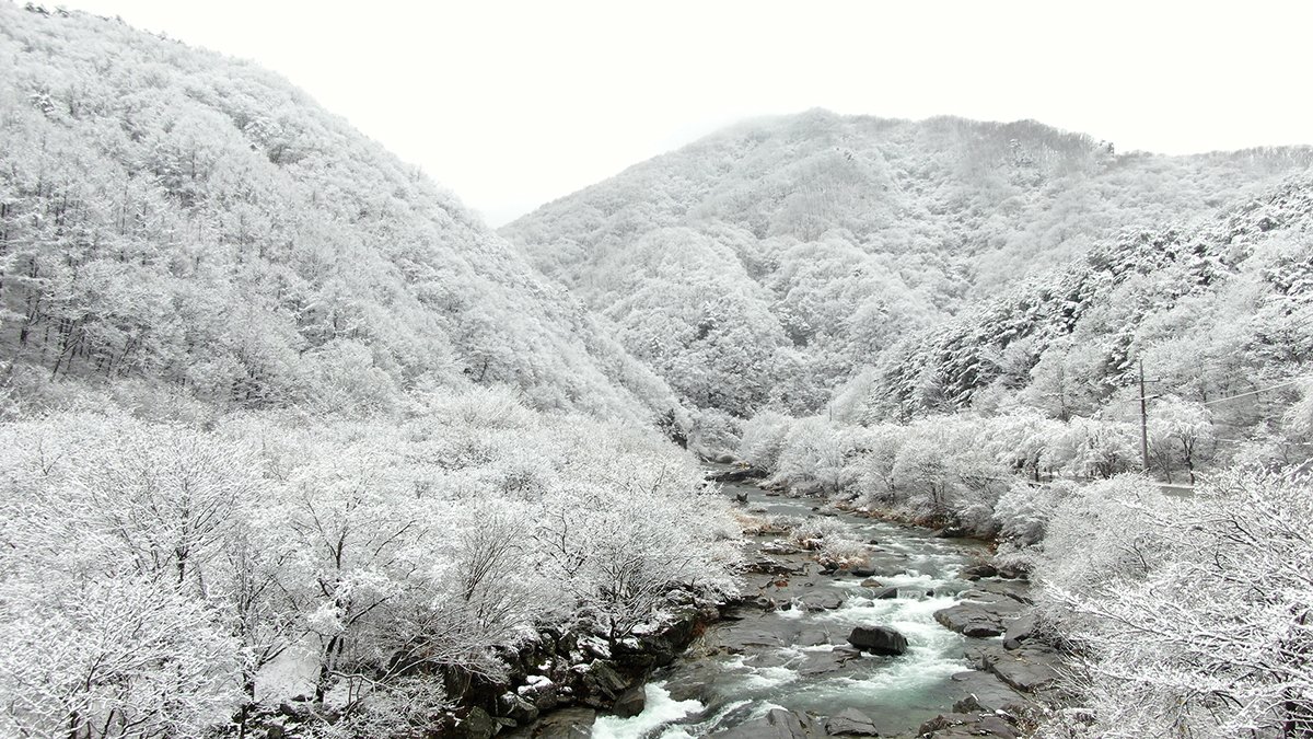 사진 거창군