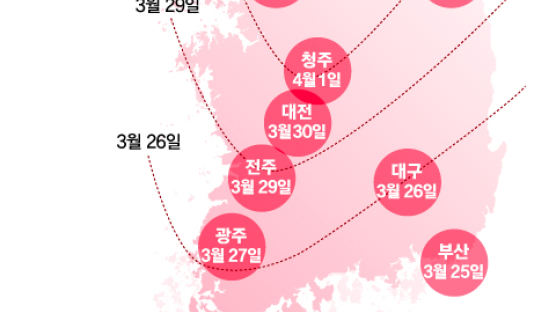 서울 벚꽃 4월 2일 핀다…평년보다 6일 빨라져