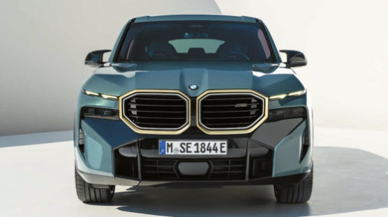 [2024 올해의 차] “BMW가 표현할 수 있는 모든 디자인 요소를 담았다”