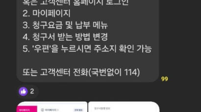 개딸들, 통신사주소 '허위 이전'..."민주 ARS 경선투표 흔든다"