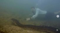 ”믿을 수 없다” 길이 6.1m 무게 200㎏…신종 아나콘다 발견