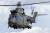 NMH 사업의 주요 대체 목표인 푸마 중형 헬리콥터. 영국 공군