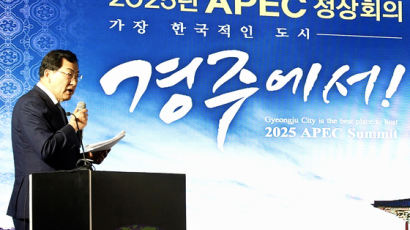APEC 정상회의 유치 뛰어든 경주 “가장 한국적인 우리가 적격”