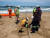 지난해 2월 남아프리카공화국 아만짐토티의 한 해변에서 해저케이블 설치 작업을 하고 있다. 로이터=연합뉴스