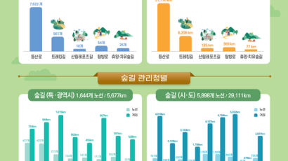 전국 숲길, “무궁화 삼천리~”의 38배…노선은 8273개