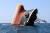 7일(현지시간) 벨리즈 선적 영국 화물선 루비마르호가 홍해 바브엘만데브 해협에서 배 선수 부분만 드러낸 채 바다 위에 떠 있다. 루미마르호는 지난달 18일 예멘 후티반군의 미사일 공격을 받은 뒤 지난 2일 완전히 침몰했다. AFP=연합뉴스
