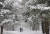 지난 6일 강원 평창군 대관령 일원에 눈이 내려 한겨울로 돌아간 풍경을 연출하고 있다. 연합뉴스