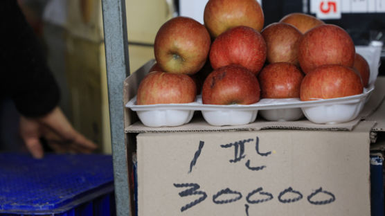 [사진] 사과값 언제쯤 떨어질까
