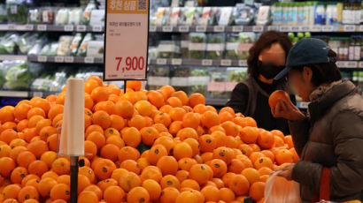 [사진] 오렌지도 사 먹기 겁나네