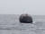 지난 15일(현지시간) 노르웨이 근해에서 몸이 부풀어 오른 고래의 사체가 발견됐다. 사진 SNS 캡처