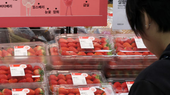 [사진] 대형마트 과일 매출 1위는 딸기