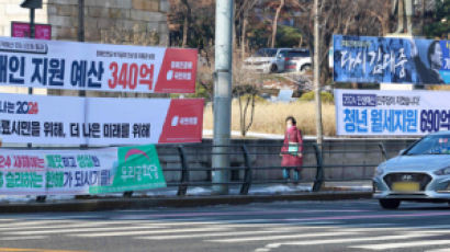 행안부 한달간 불법 현수막 1만3000개 철거...선거철 난립 우려