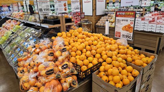 오렌지 수입 130% 급증…바다 건너온 과일로 '금사과' 잡는다