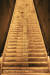 지 샴페인을 생산한 해를 새겨 넣은 빈티지 계단. 사진 뵈브 클리코
