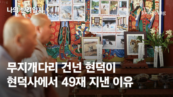 반려견 49재 비용 700만원…그래도 강릉 현덕사 찾는 그들