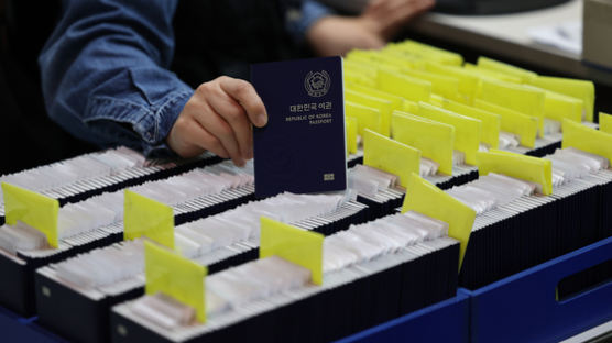 정부24 온라인 여권 재발급 서비스 개선…사진만 재등록·자동환불