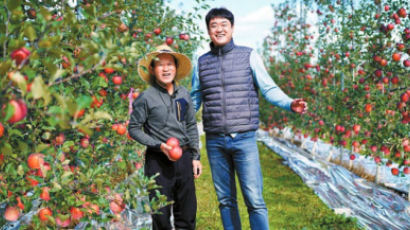 [라이프 트렌드&] 산지 농가 찾아 발로 뛰며 가격 낮춰…사과 한 개 2000원 대에 판매