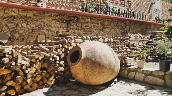 등산 가도 술 안 마시는데, 이 와인은 매일 마셨다…8000년 비법 